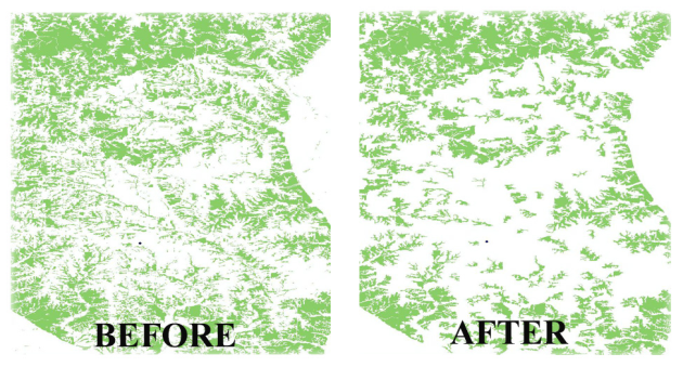 Before and after views of deleting small areas from vegetation polygons.